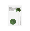 Cica Soothing Mask