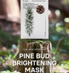 Pine Bud Brightening Mask